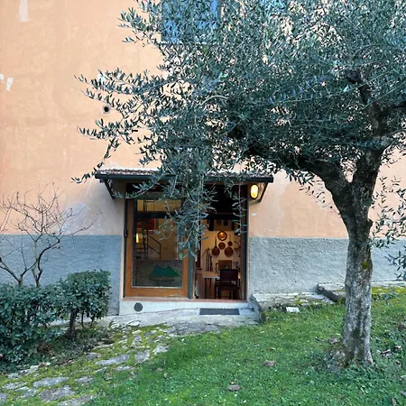Apartman - La Foresteria